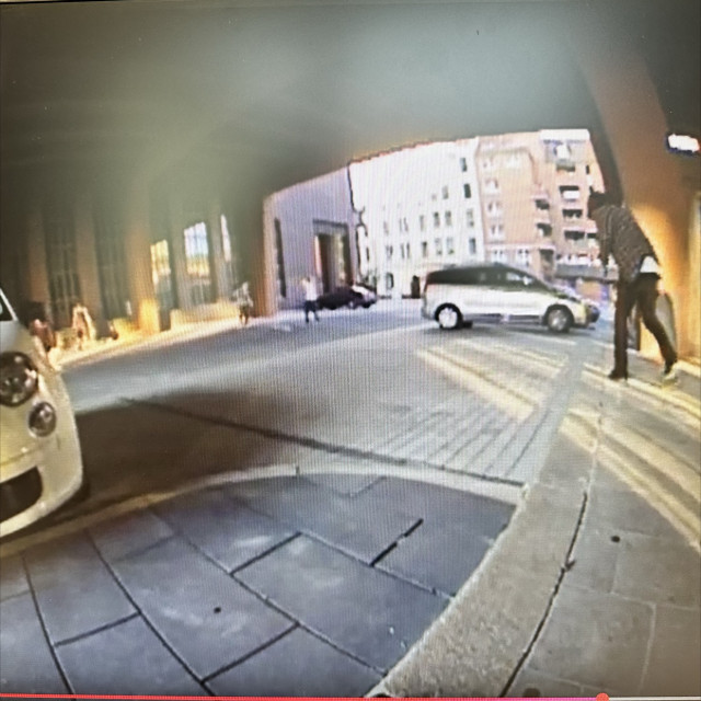 Spot #49725
