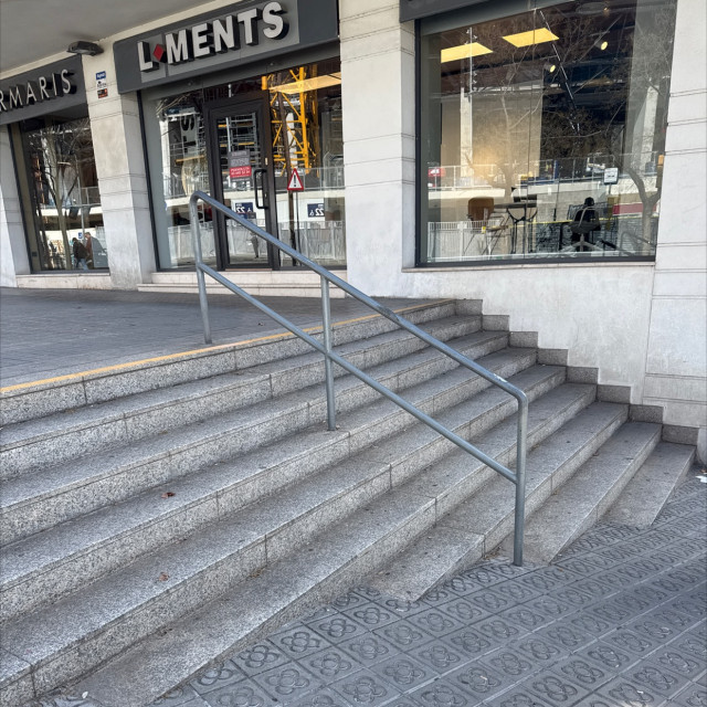Rail