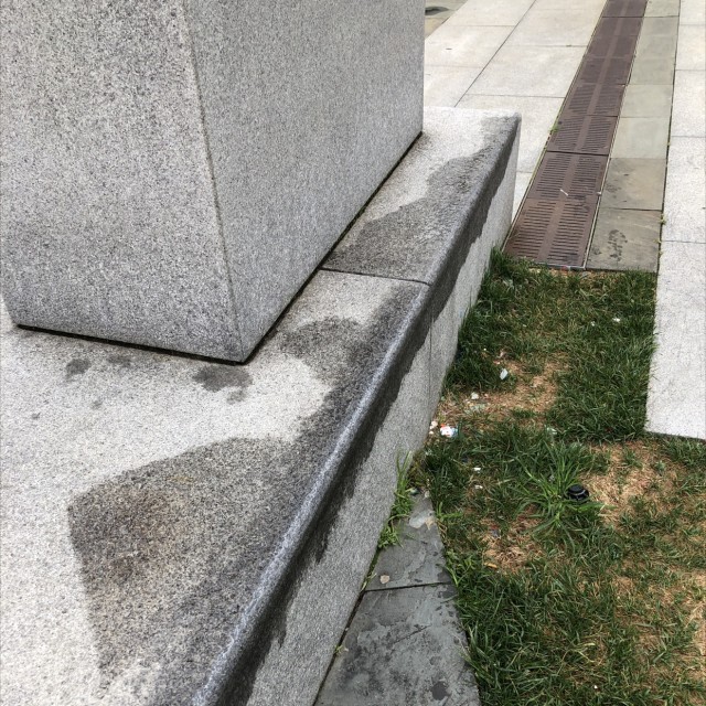 Congress law ledge