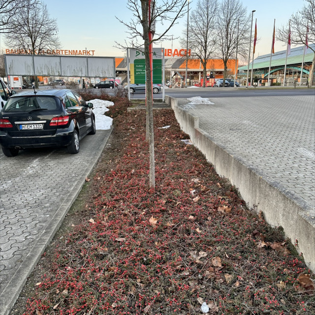 Spot #51169