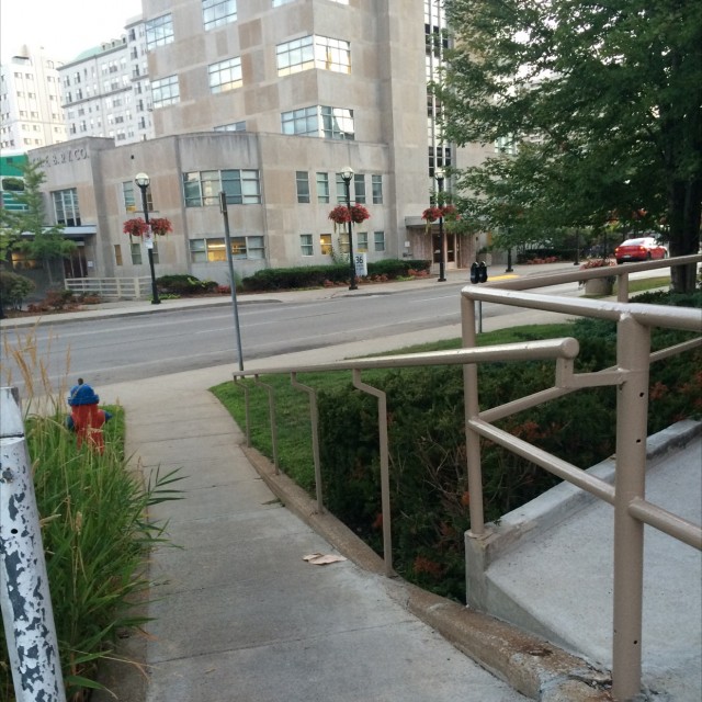 Down rail 