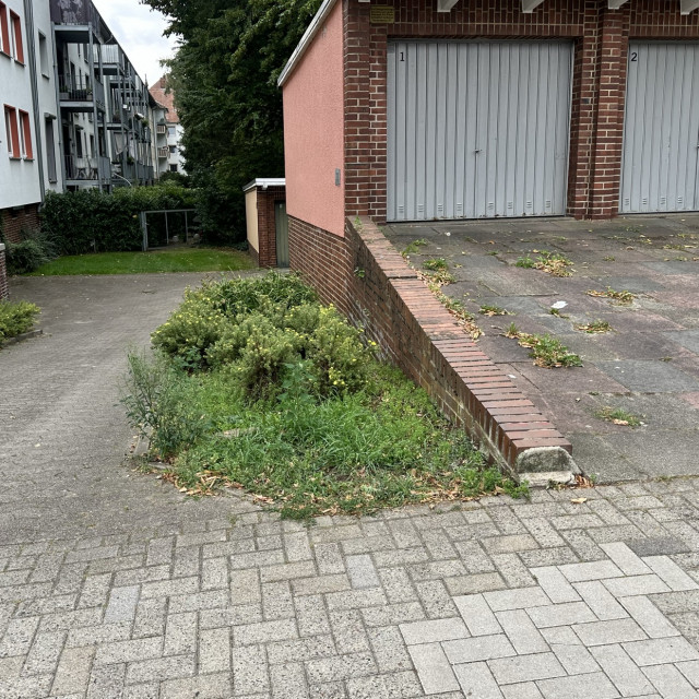 Spot #49576