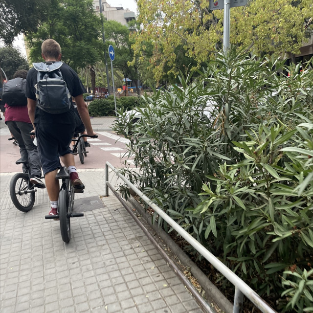 Spot #32829