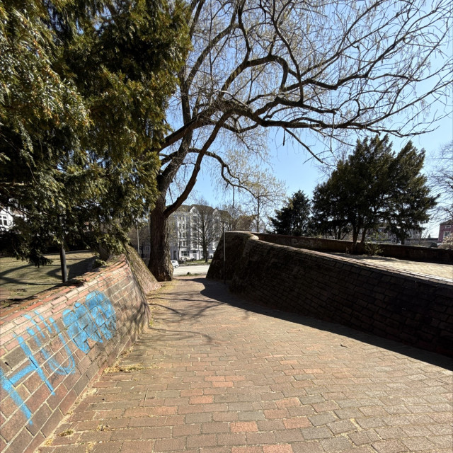 Brick Wallride 