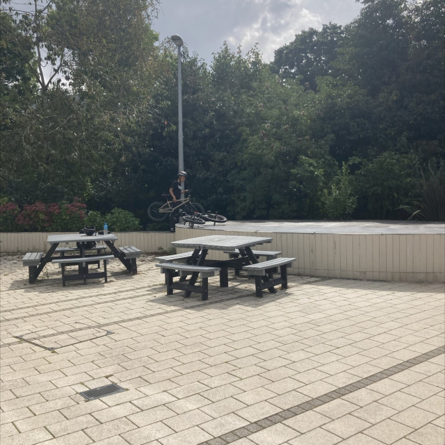 Spot #43295