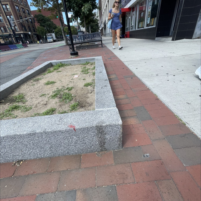 Short mcdonalds ledge 