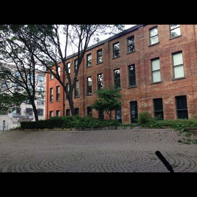 Spot #5598