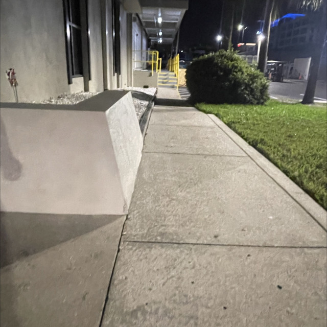 sneak wallie ledges