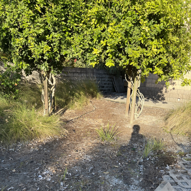 Garden run