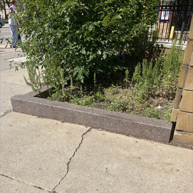 Spot #38666