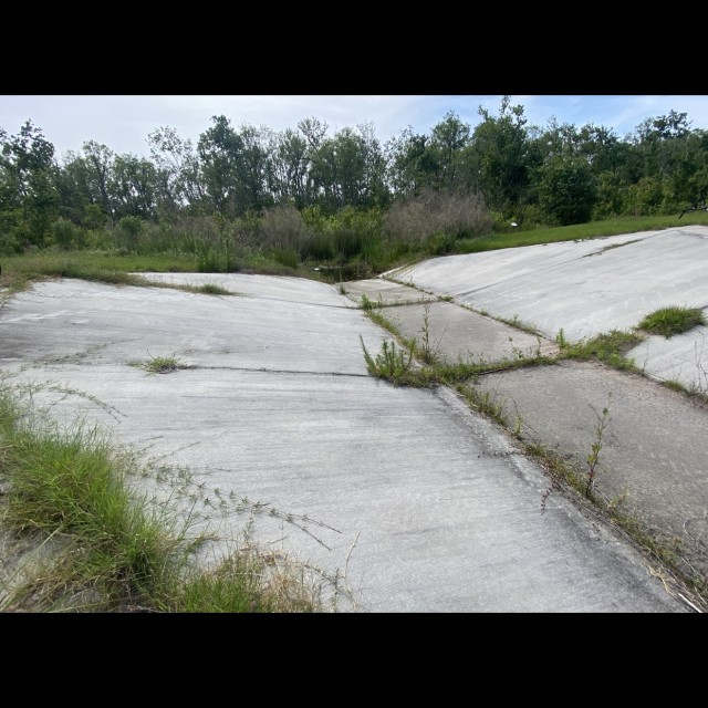 overgrown bank