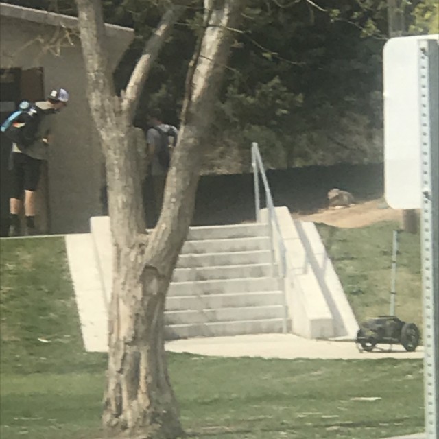 9 stair 