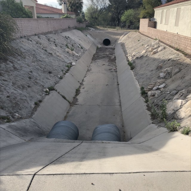 Sick ditch with ledge and banks