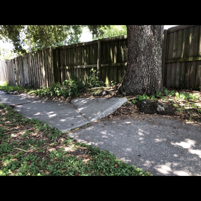 Lil kicker footplant the tree