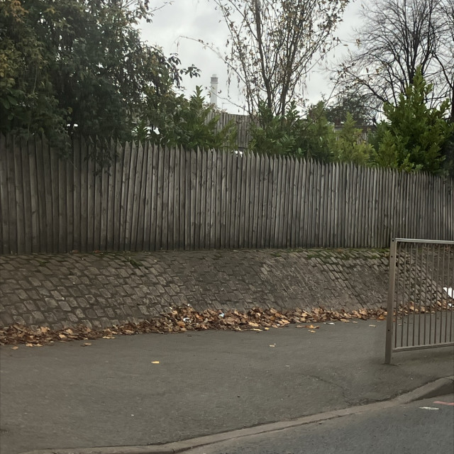 Spot #50307