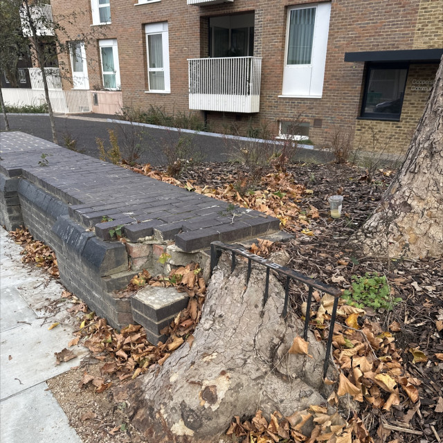 Trunk rail 