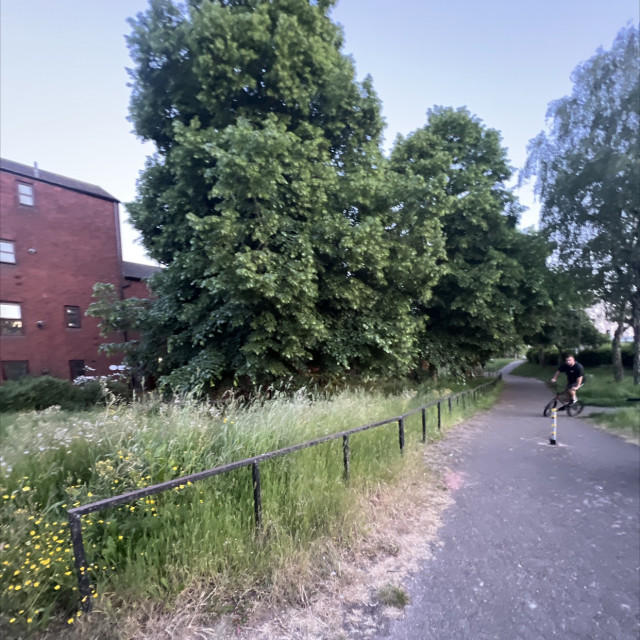 Spot #37330