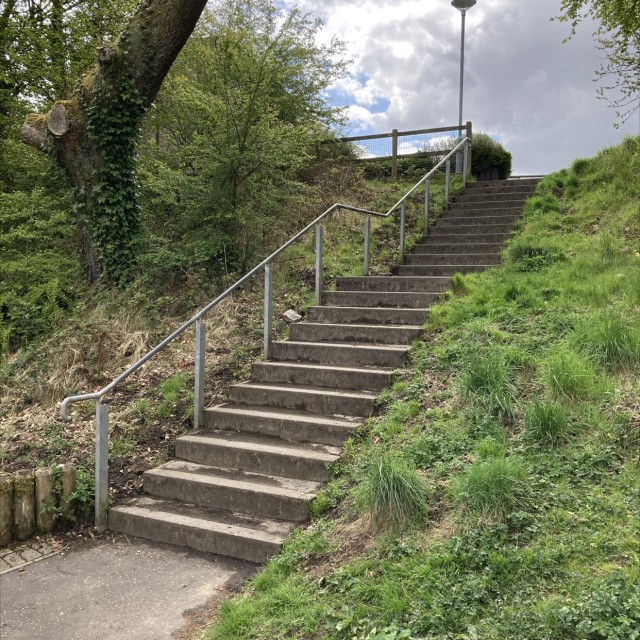 Spot #25428