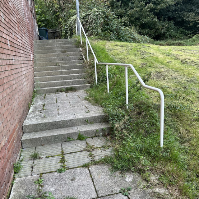 Rail
