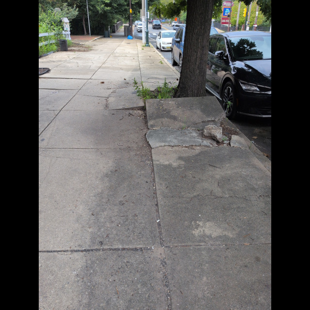 Spot #53901