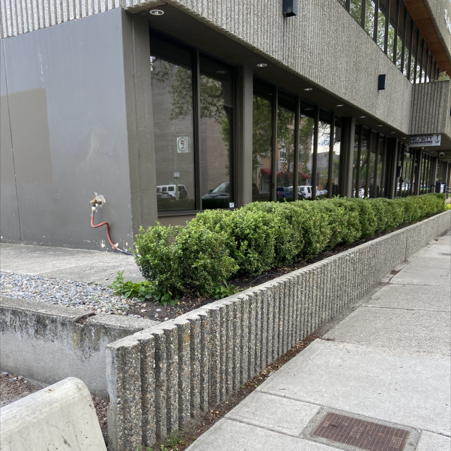 Over bush to sidewalk
