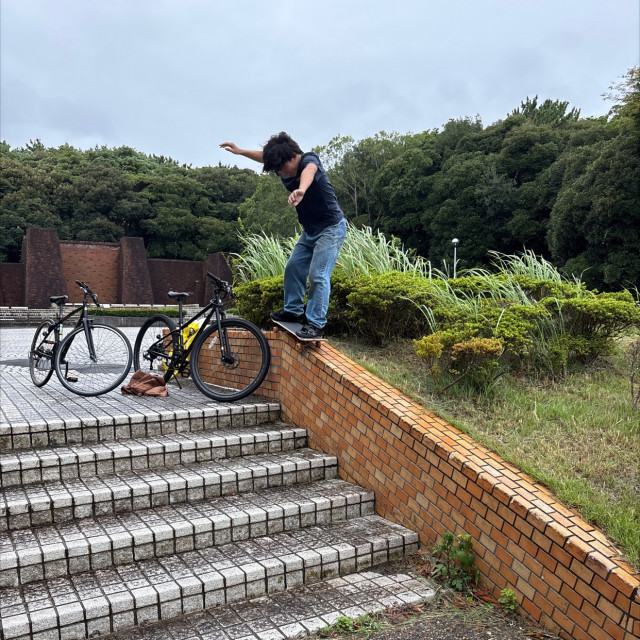ダウンレッジ付きステア