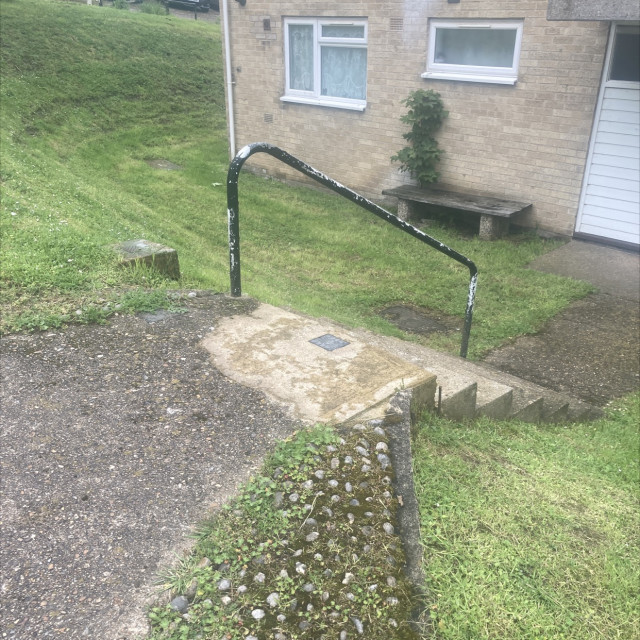Someone’s yard