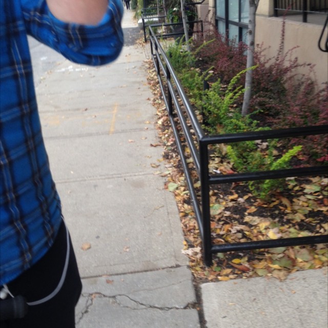 Spot #6538