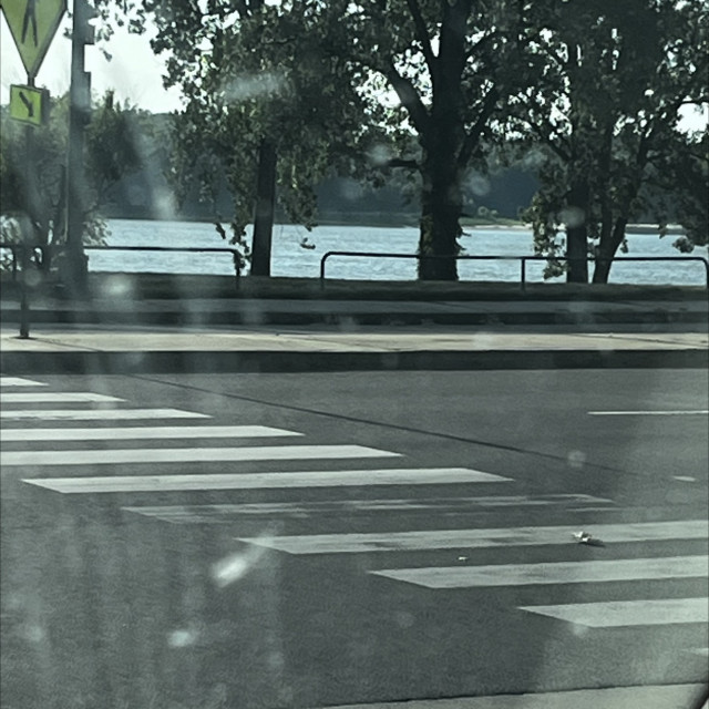 Spot #32451