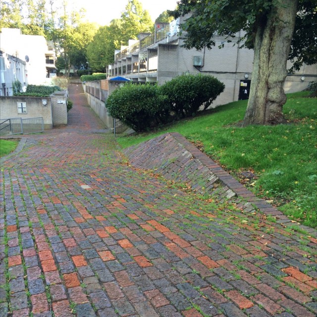 Spot #6032