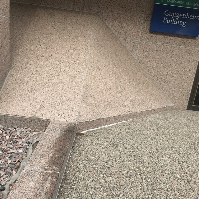 The shit 