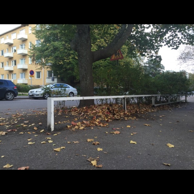 Lauttasaari Flat Rail
