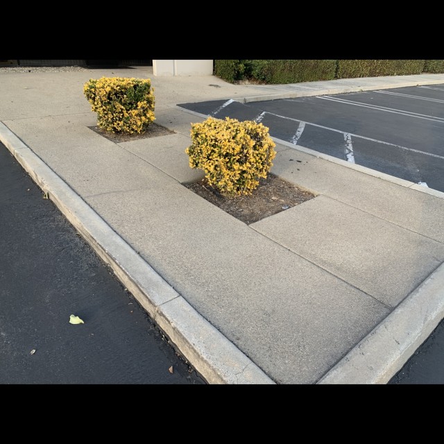 Manual pad