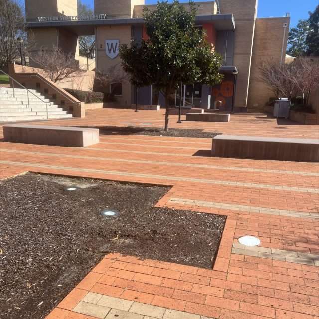 Macauthur campus wsu