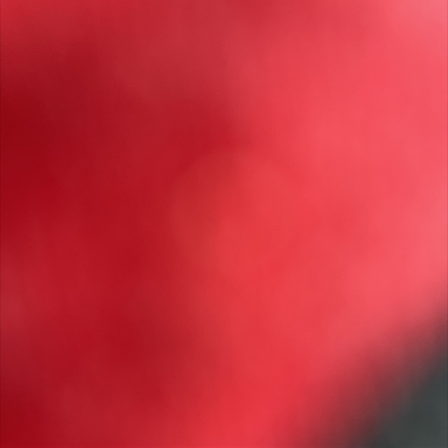 Spot #28265