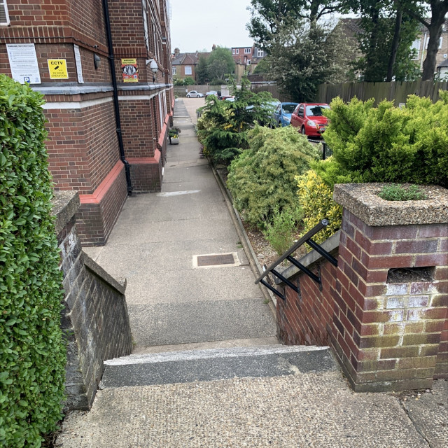 Du cane court 
