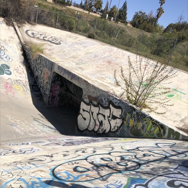 Sewer bowl