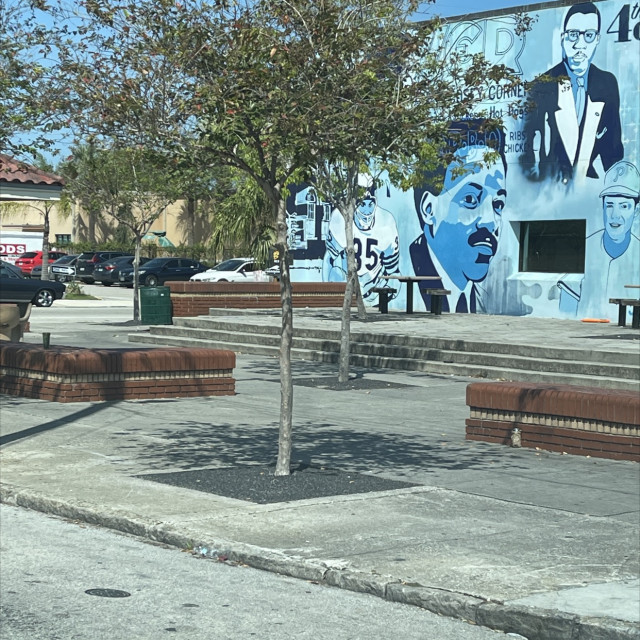 City of Tampa Park