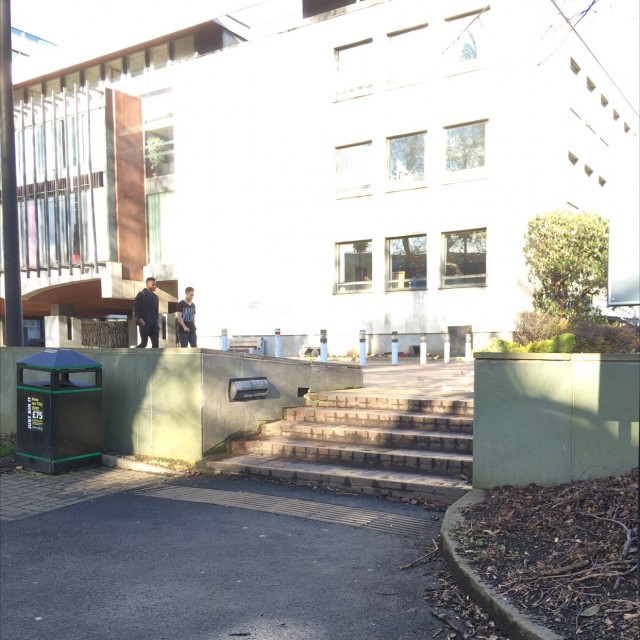 Spot #7203