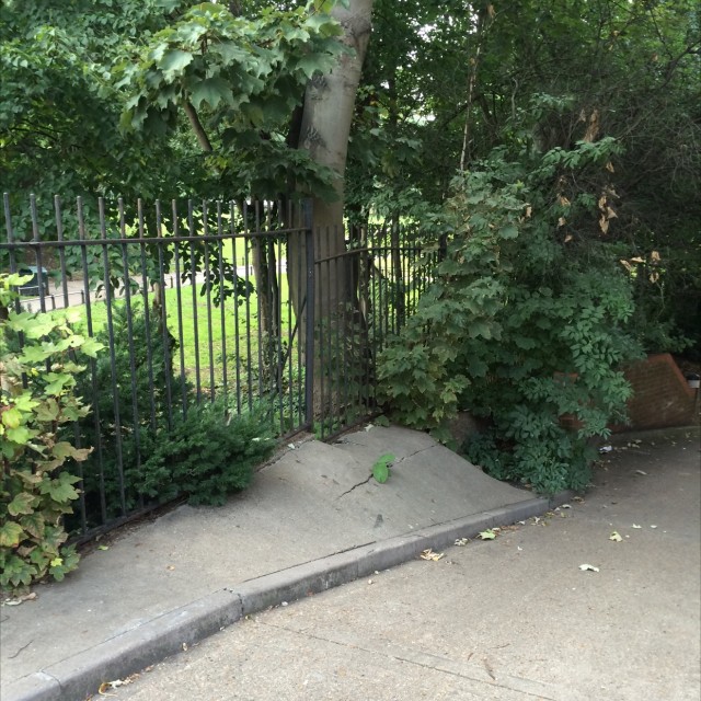 Spot #5781