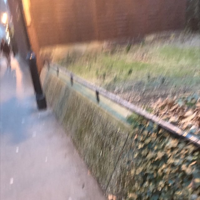 Spot #9802
