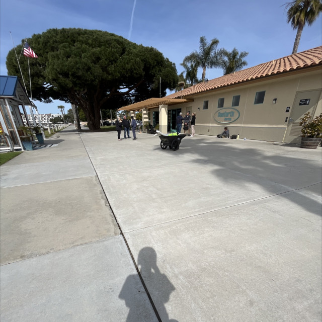 Marina Skate Spot