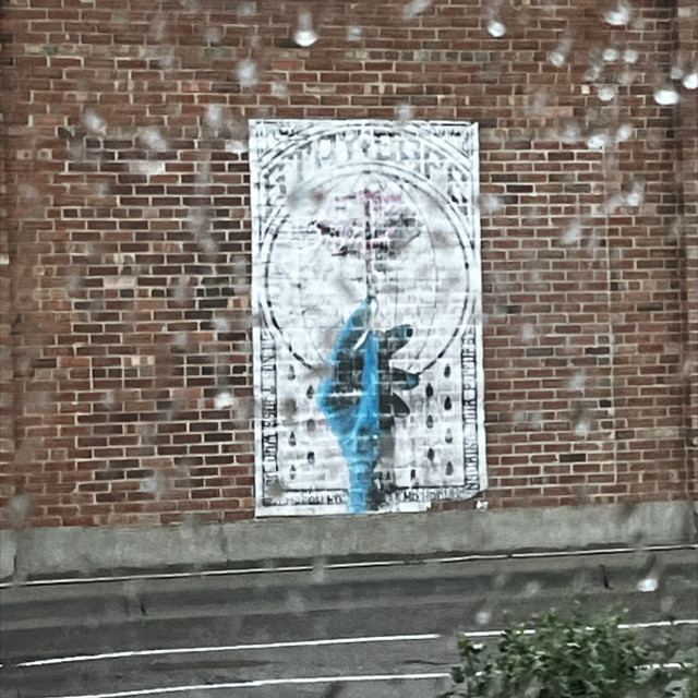 Spot #32158