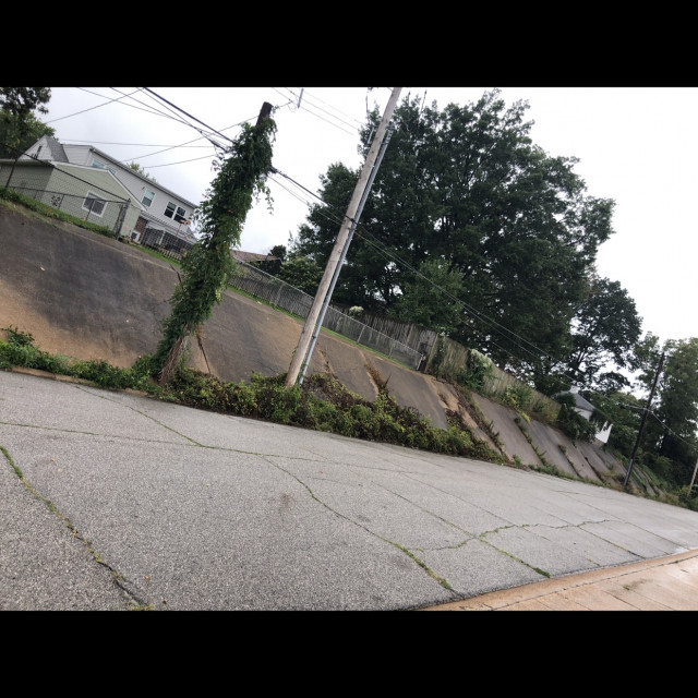 huge bank