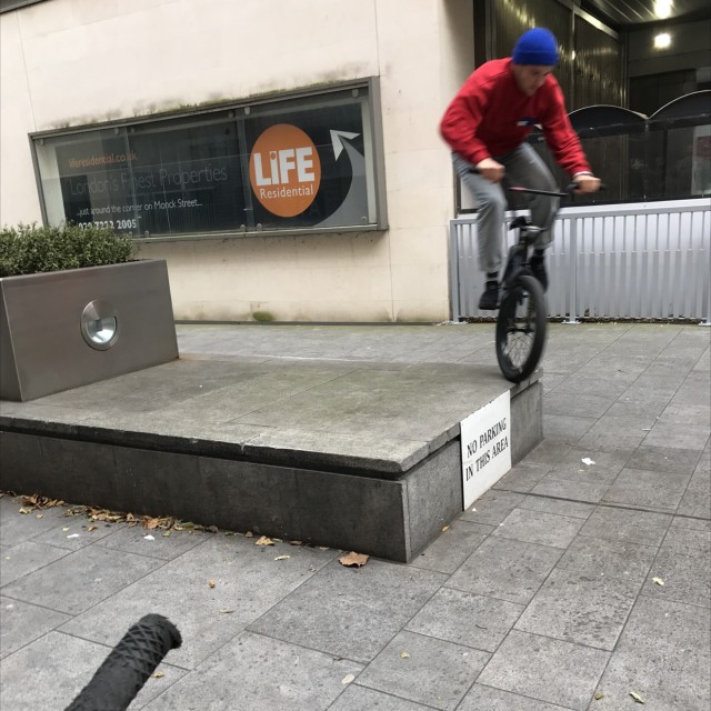 Spot #15304