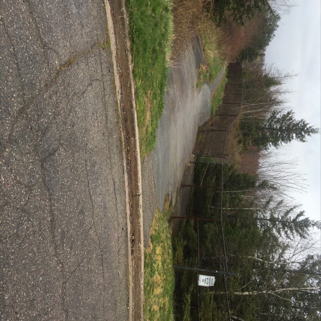 Spot #17886