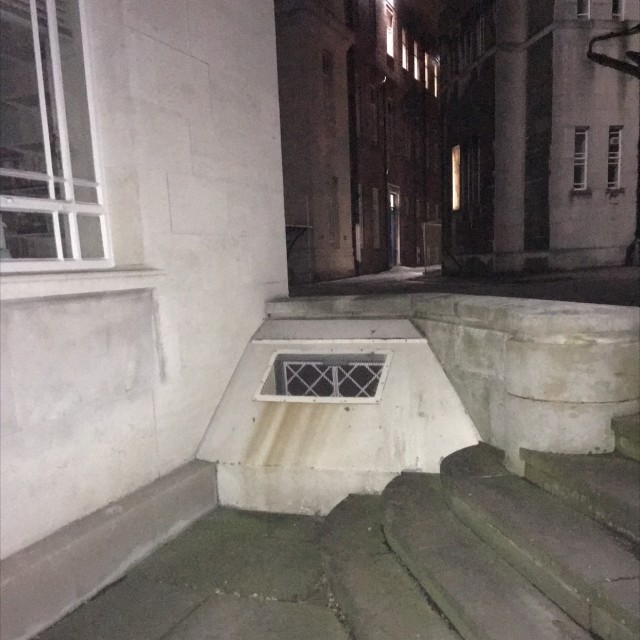 Spot #8441