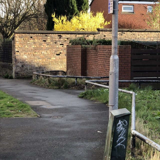 Mansfield flat rail