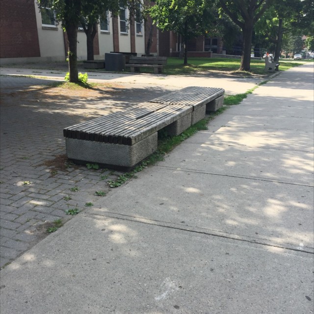 Lawrence Park Collegiant 