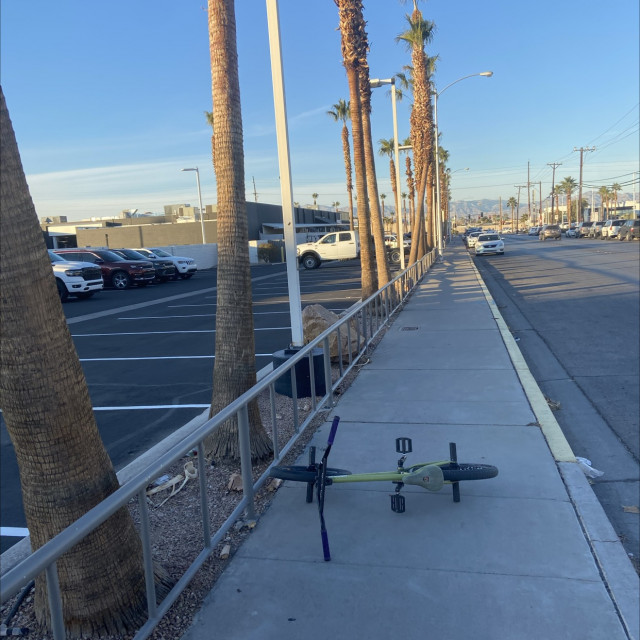 palm rail 